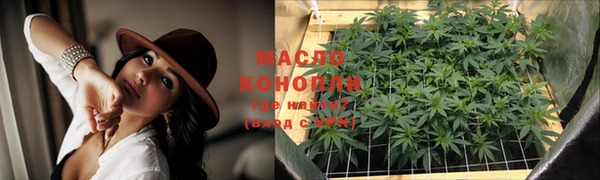 индика Армянск