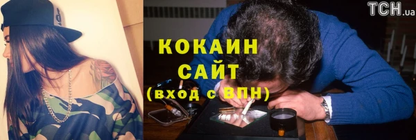 трава Арсеньев