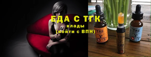 индика Армянск