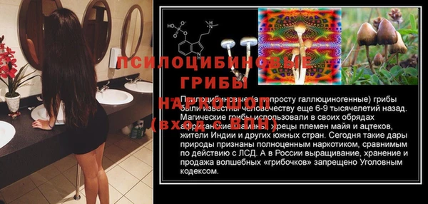 индика Армянск