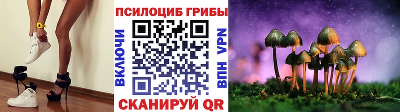 Галлюциногенные грибы Magic Shrooms  Мариинский Посад 